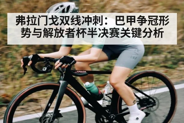 弗拉门戈双线冲刺：巴甲争冠形势与解放者杯半决赛关键分析